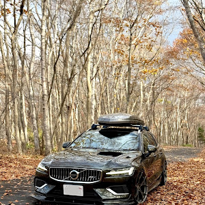 V60 T6