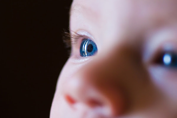 Un futuro a tinte azzurre di shiro