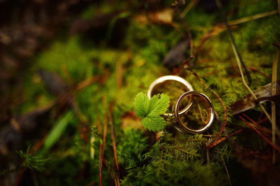 Fotografo di matrimoni Olga Pokrovskaya (olgapokrovskaya). Foto del 22 gennaio 2016