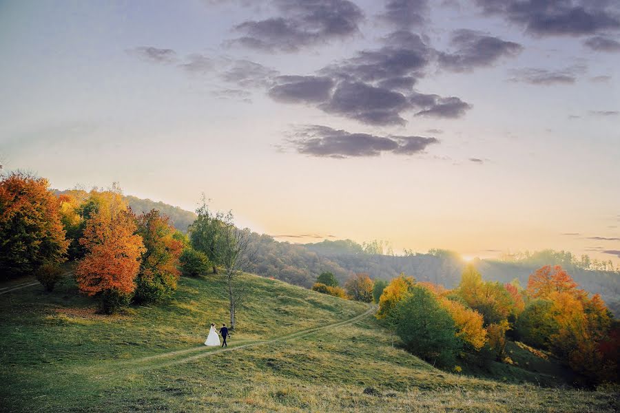 Fotógrafo de bodas Mikola Mukha (mykola). Foto del 19 de octubre 2018