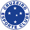 extension logo