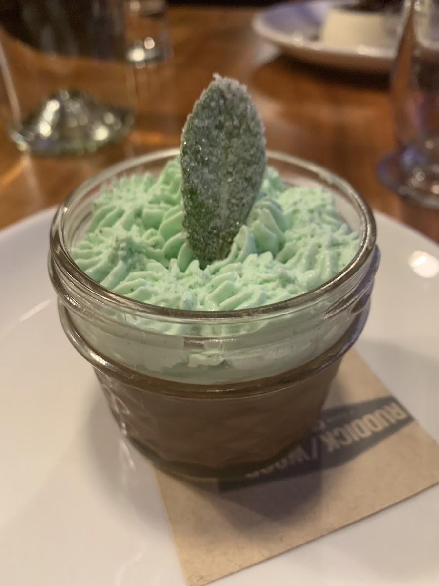 Chocolate mint mousse