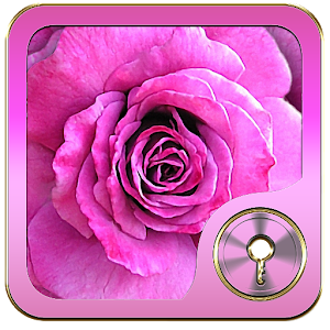 Pink Rose Go Locker theme