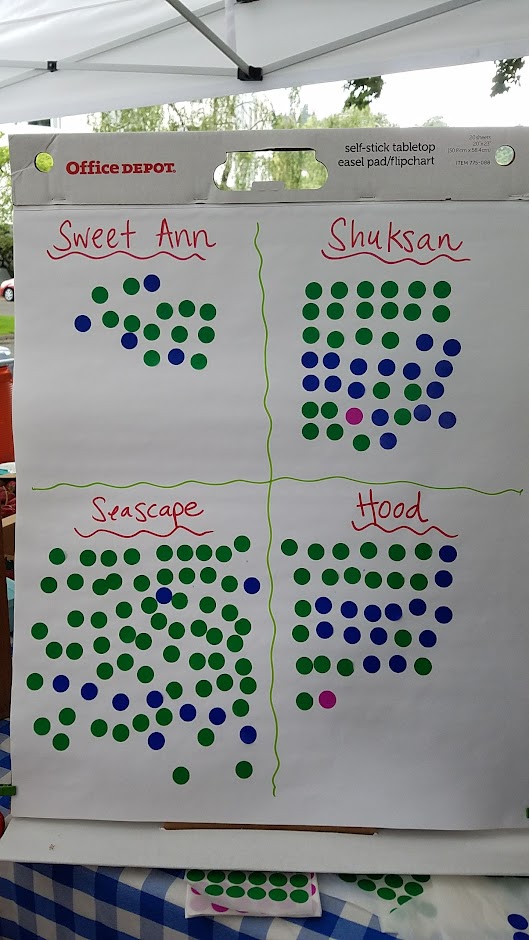 Oregon Strawberries, visitors tasted all four and voted for their favorite, here are midday results