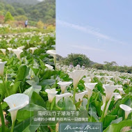 【竹子湖】苗榜花園餐廳