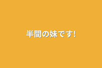 「半間の妹です!」のメインビジュアル