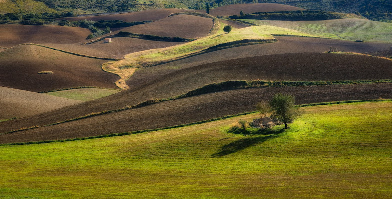 La mia terra di AntoMarPh