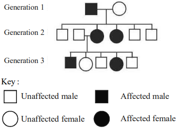 Pedigree Analysis