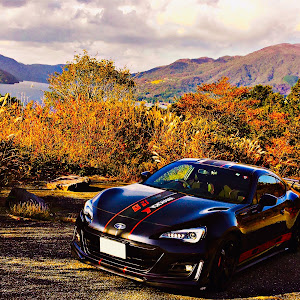 BRZ ZC6