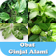 Download Obat Ginjal Alami Herbal For PC Windows and Mac 1.1.0