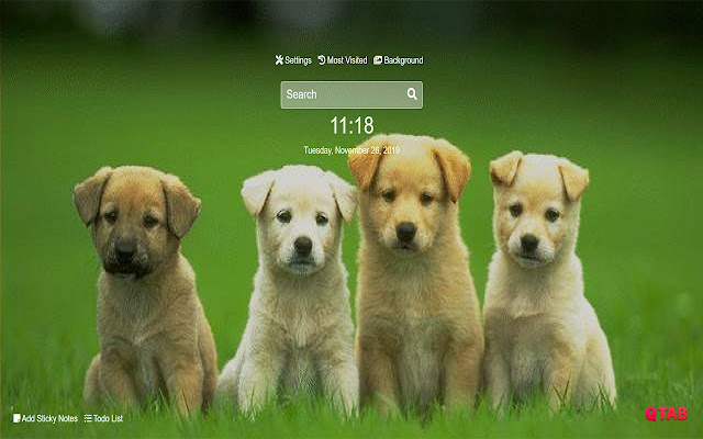 Cute Puppies Wallpapers Cute Puppies New Tab