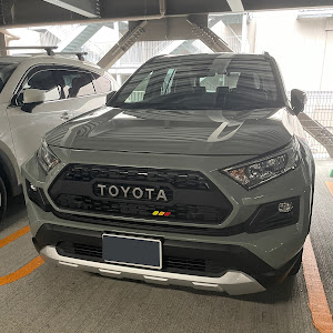 RAV4 MXAA54