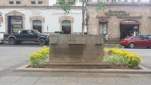 Monumento Arbol a Los Liberales