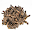 Clove For Health Download on Windows