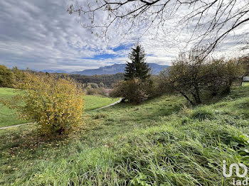 terrain à Chantesse (38)