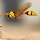 Insects New Tabs HD Wallpapers Themes