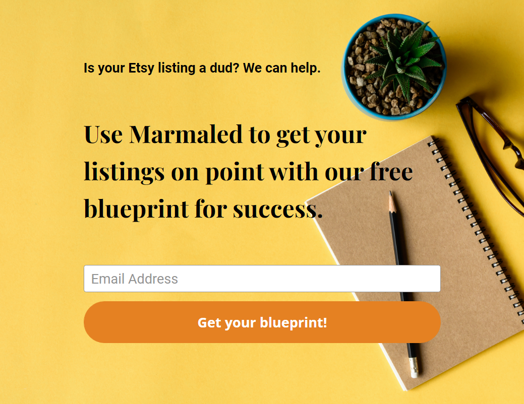 Click here to get your blueprint for success!