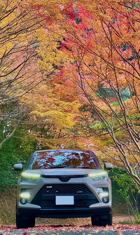 ライズの2024ベストショット12月・紅葉と愛車・ライズ・内子五十崎龍王公園に関するカスタム事例の投稿画像8枚目