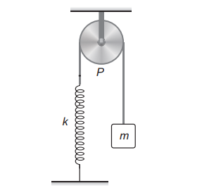 Spring-mass system