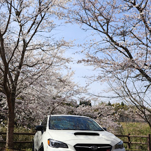 WRX S4 VAG