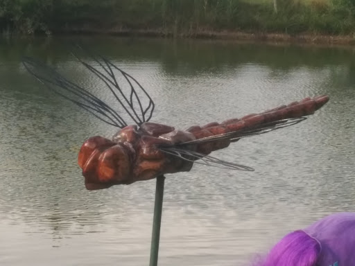 Dragonfly Sculpture