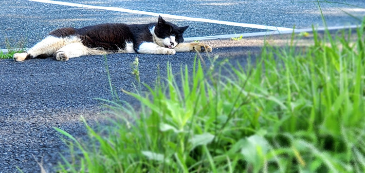 の投稿画像3枚目