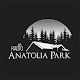 Radio Anatolia Park Download on Windows