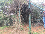 One of the broken patches of fencing at Burman Bush, a nature reserve in the Durban's Morningside suburb.