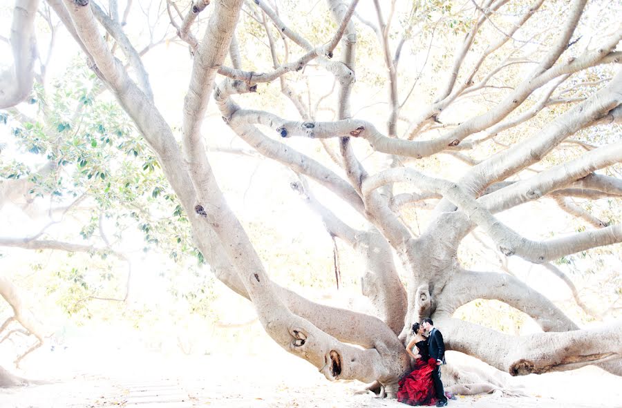 Fotógrafo de bodas Silvia Taddei (silviataddei). Foto del 6 de diciembre 2014