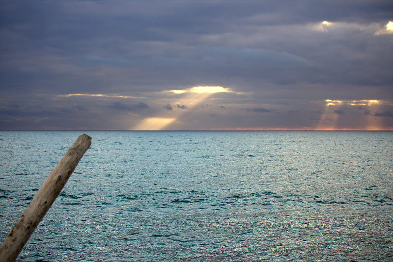 Verso la luce di Dama