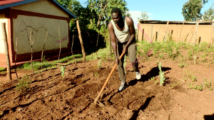 Duncan Kibet in the shamba