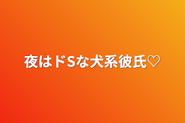 夜はドSな犬系彼氏♡