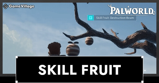 Skill Fruits