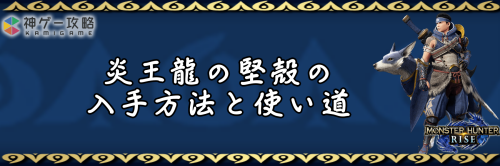 炎王龍の堅殻