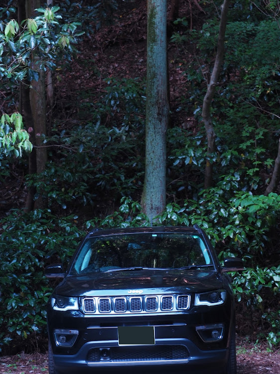 コンパスのJEEP・コンパスに関するカスタム事例の投稿画像1枚目