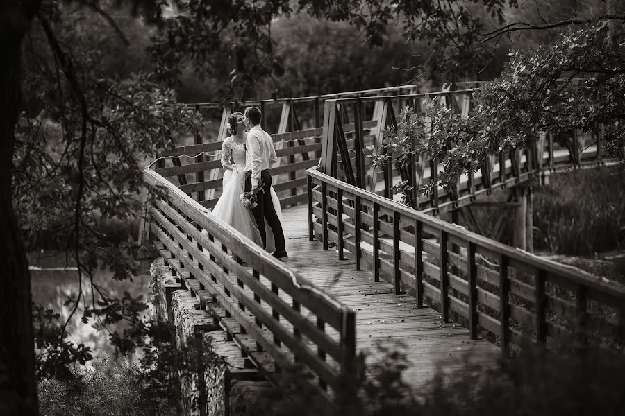 Fotografo di matrimoni Dmitriy Titov (sushniak). Foto del 15 settembre 2019