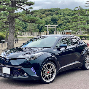 C-HR ZYX10