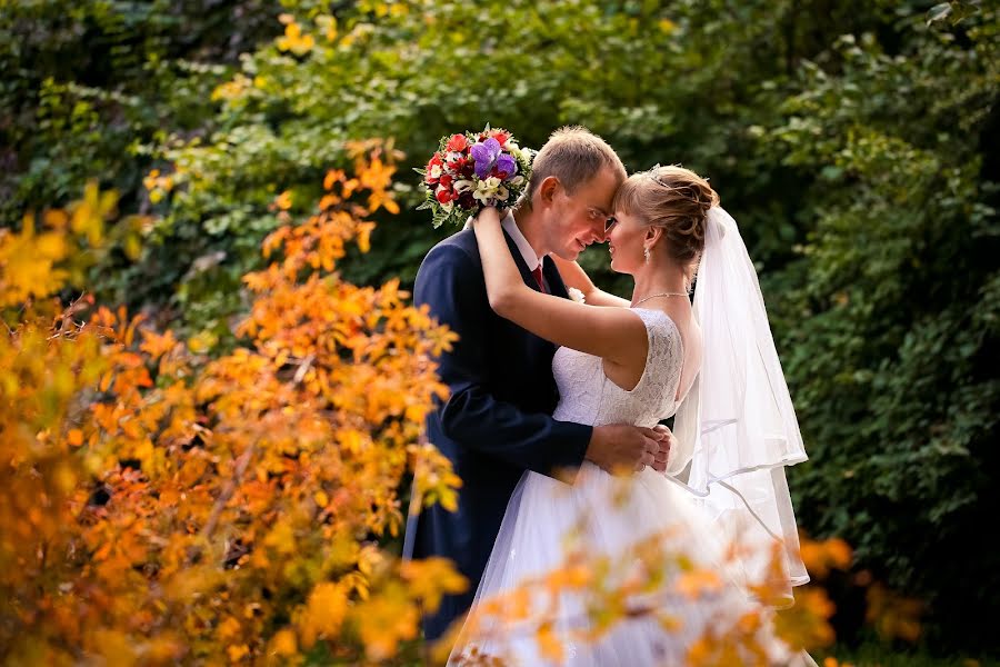 Fotógrafo de casamento Anna Zhukova (annazhukova). Foto de 12 de novembro 2015