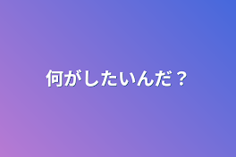 何がしたいんだ？