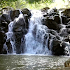 Real Nature Live Wallpaper1.2