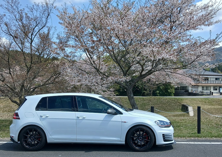 ゴルフの桜コラボ・桜と愛車・ゴルフ7・mk7gti・Volkswagenに関するカスタム事例の投稿画像1枚目