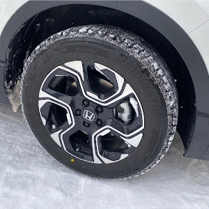 CR-V RT6