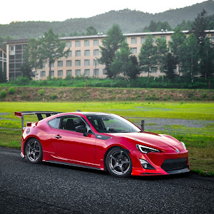 86 ZN6