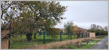 terrain à Lisle-sur-Tarn (81)