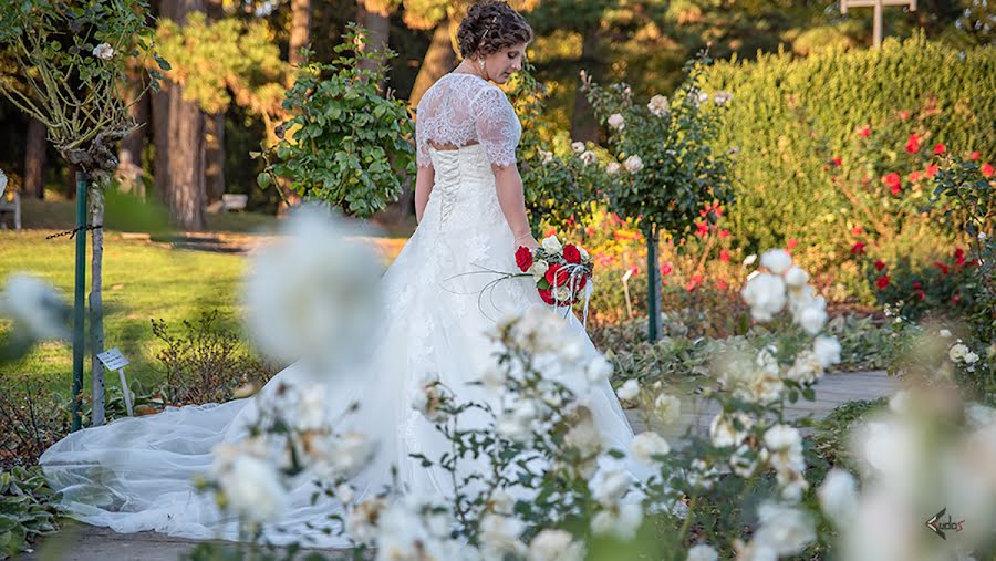 Wedding photographer Ramona Vaida (cudos). Photo of 11 April 2019