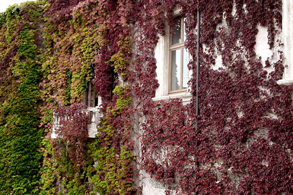 palazzo vestito d'autunno di rita18