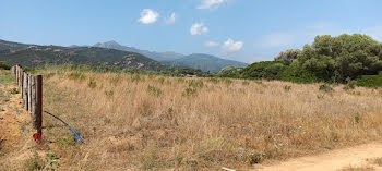 terrain à Pianottoli-Caldarello (2A)