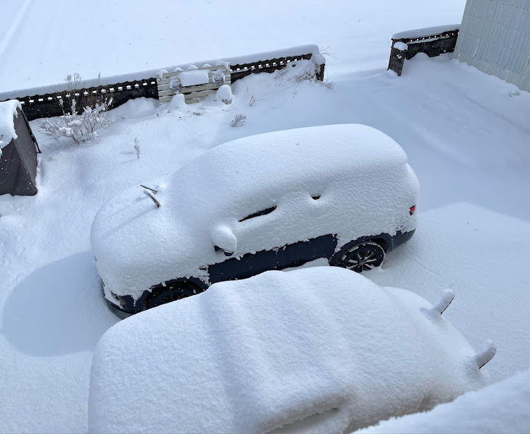 ムーヴキャンバスの大寒波到来・雪が積もった・白銀の世界・可愛い相棒・フレーム撮影に関するカスタム事例の投稿画像2枚目