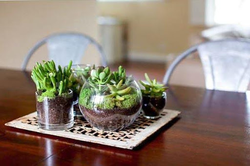 DIY Terrarium Design Ideas