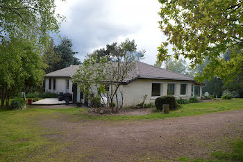 maison à Saint-Martin-d'Estréaux (42)